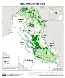 images\IZ\cropprod\Iraq_Wheat_preview.png